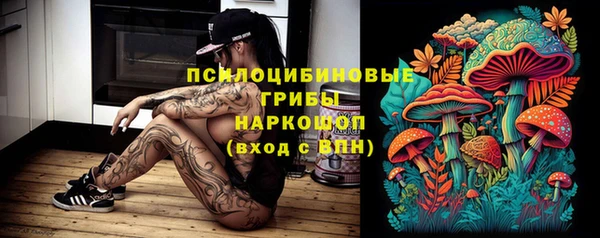 прущий лед Алзамай