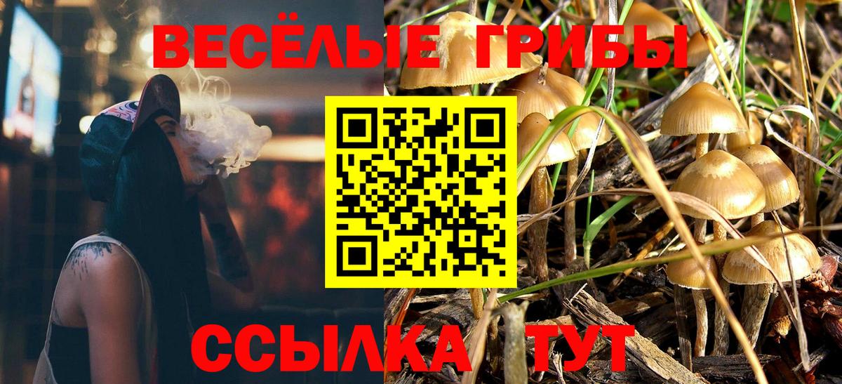 Галлюциногенные грибы MAGIC MUSHROOMS  Вход с VPN  Галлюциногенные грибы ЛСД  Анапа 