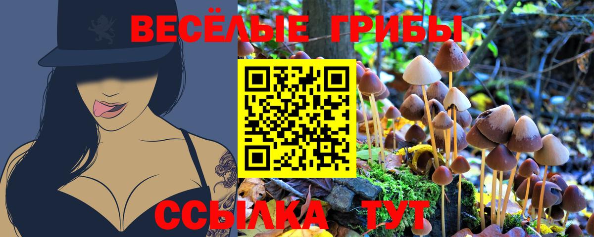 АМФЕТАМИН Анапа